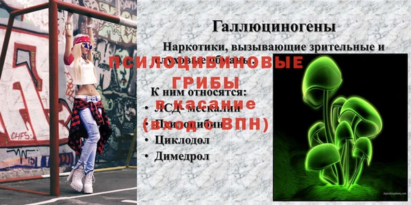 гидропоника Горно-Алтайск