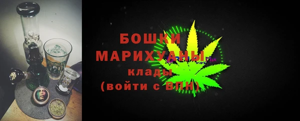 молекула духа Вязьма
