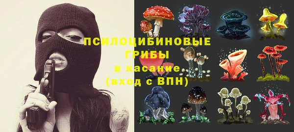 гидропоника Горно-Алтайск