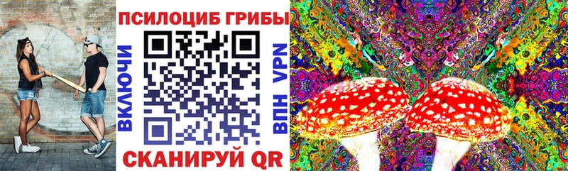 Галлюциногенные грибы Cubensis  наркошоп  Камышин 